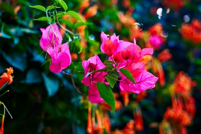 Cover for post Zhongshan Parks 202602