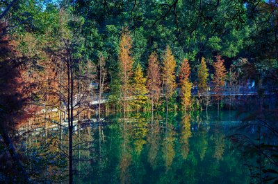 Cover for post Zhongshan Parks 202601